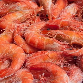 Langostinos congelados