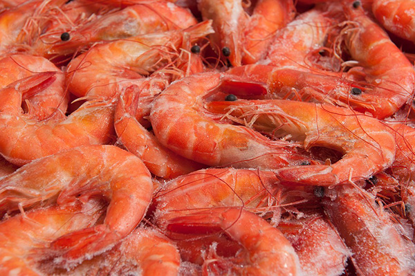 Langostinos congelados